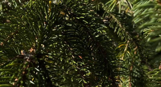 10 IDEES CADEAUX DE NOËL  RESPONSABLES ET MADE IN FRANCE POUR UNE FIN D’ANNEE SLOW LIFE