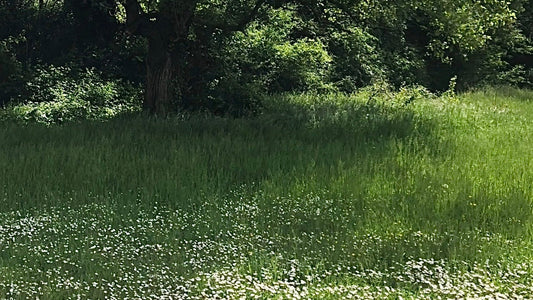 LA SLOW PERFUMERY: UNE AUTRE MANIERE DE CREER, PORTER ET RESSENTIR LE PARFUM