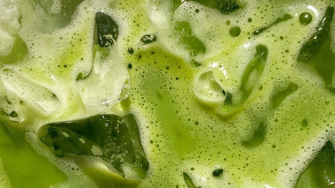 CARNET DE PARFUMEUR - MATIERES PREMIERES #3 : LE MATCHA