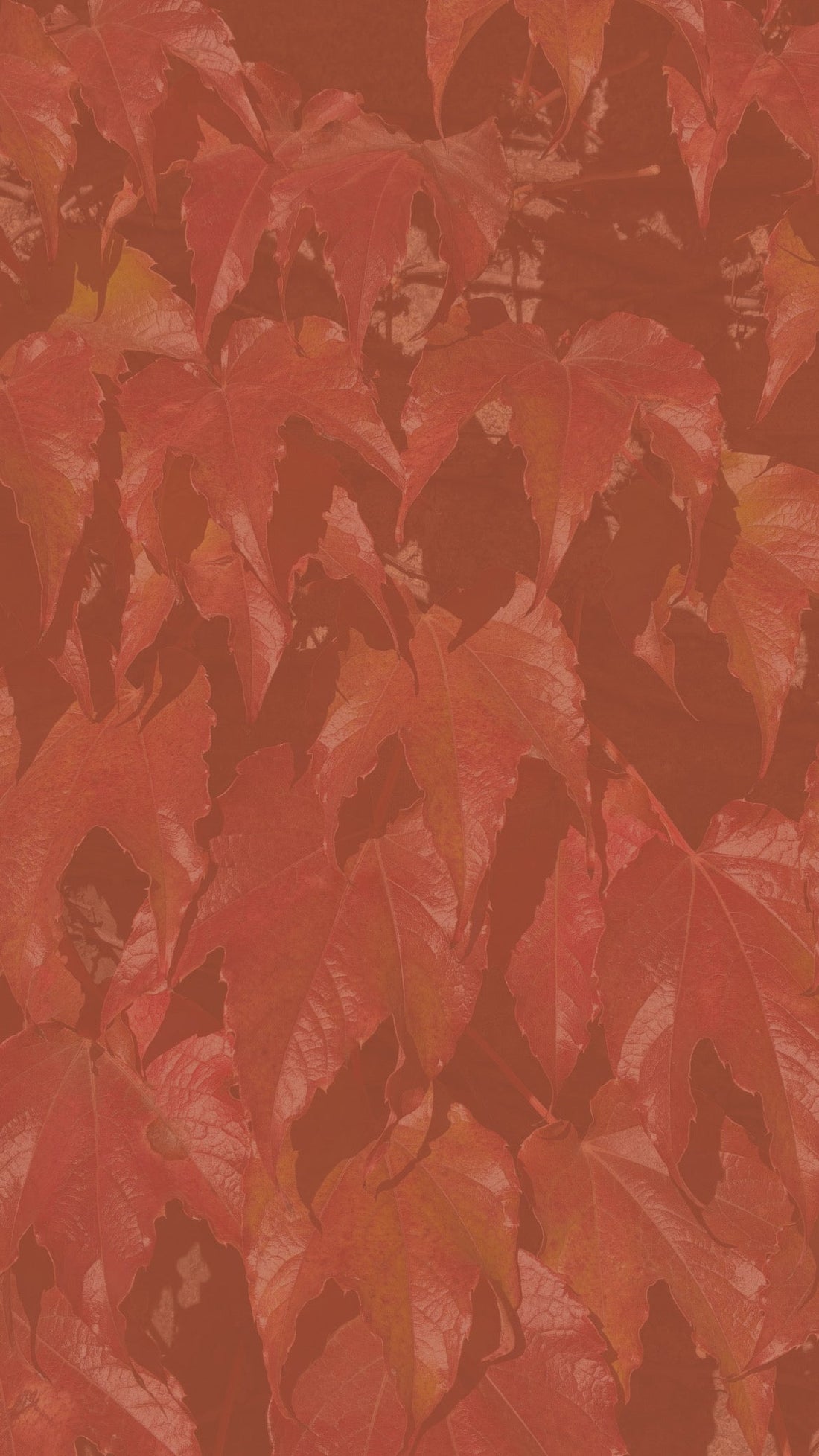 L'AUTOMN EN PARFUM : COMMENT CHOISIR SON PARFUM COCOONING POUR LA SAISON?