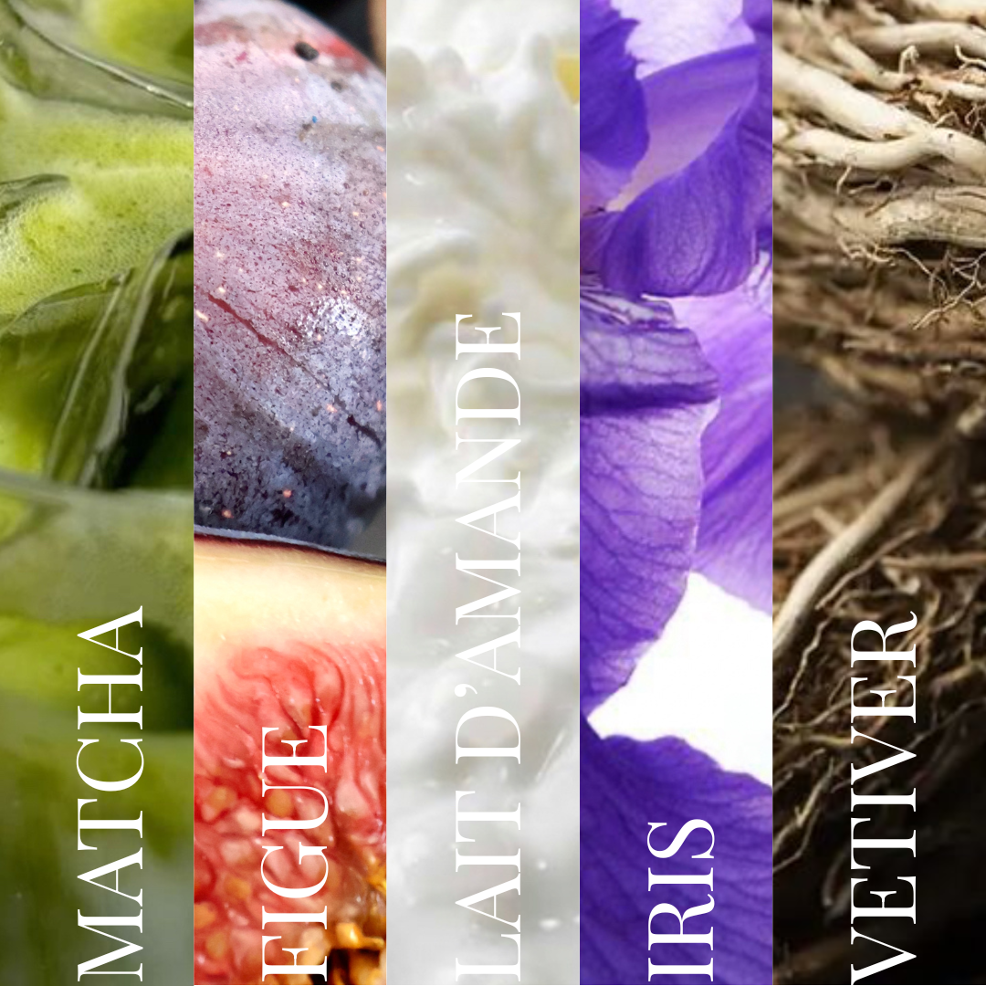 MATIN TENDRE - Parfum huile roll on