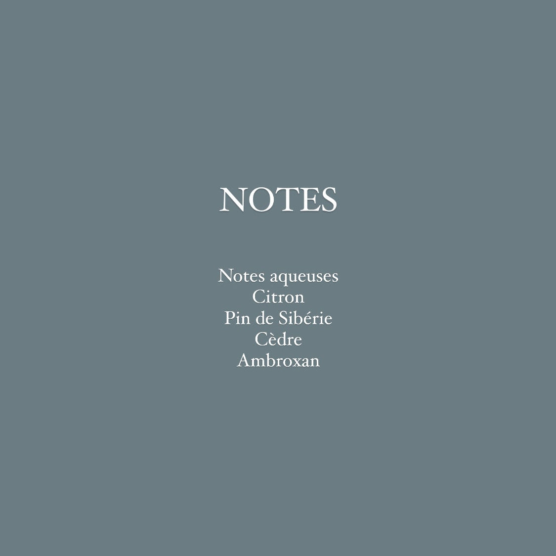 parfum citron pin cèdre ambroxan DE PINS ET DE NEIGE Eione Parfums