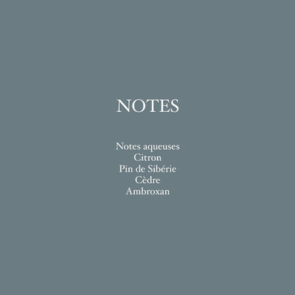 parfum citron pin cèdre ambroxan DE PINS ET DE NEIGE Eione Parfums